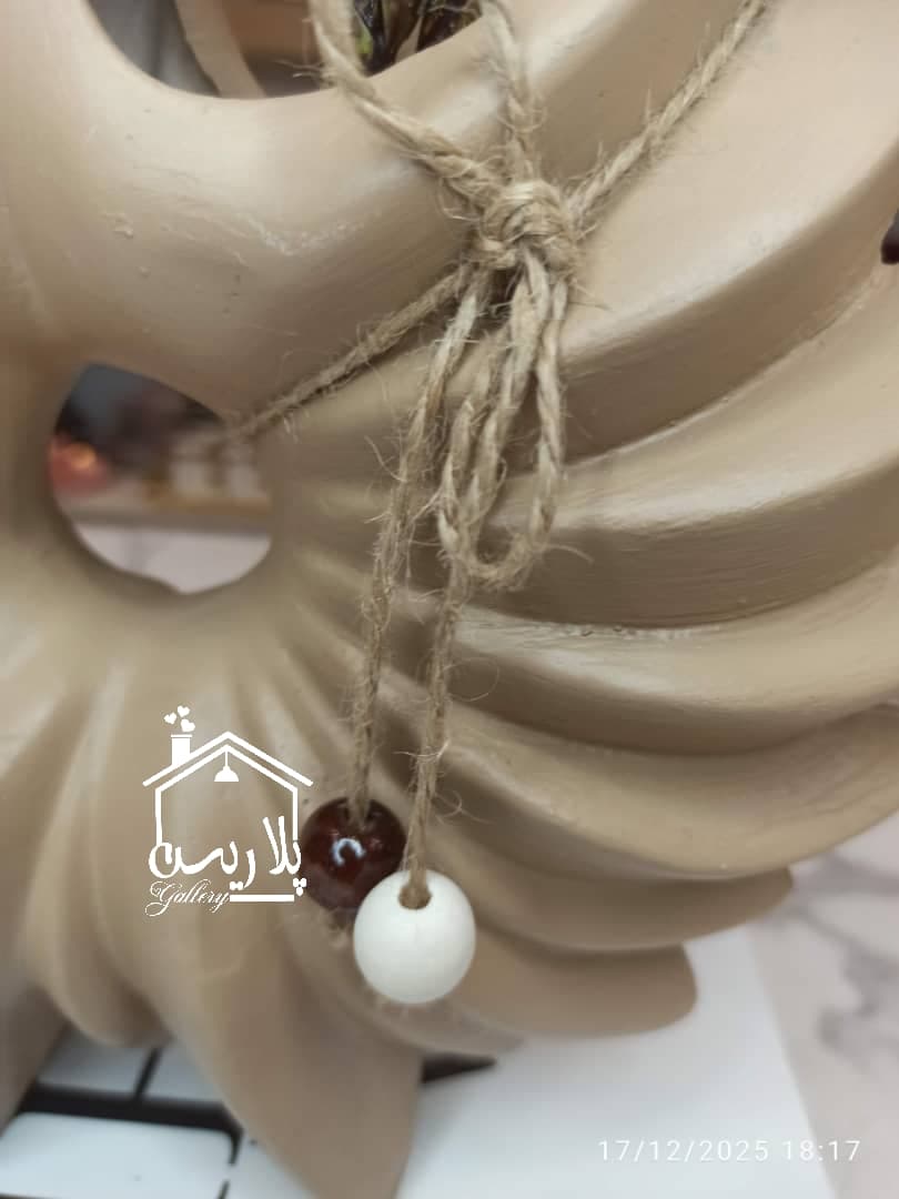 گلدان آنمون ۱۷۲۴۸ — تصویر ۳