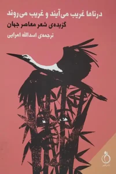 درناها غریب می آیند و غریب می روند