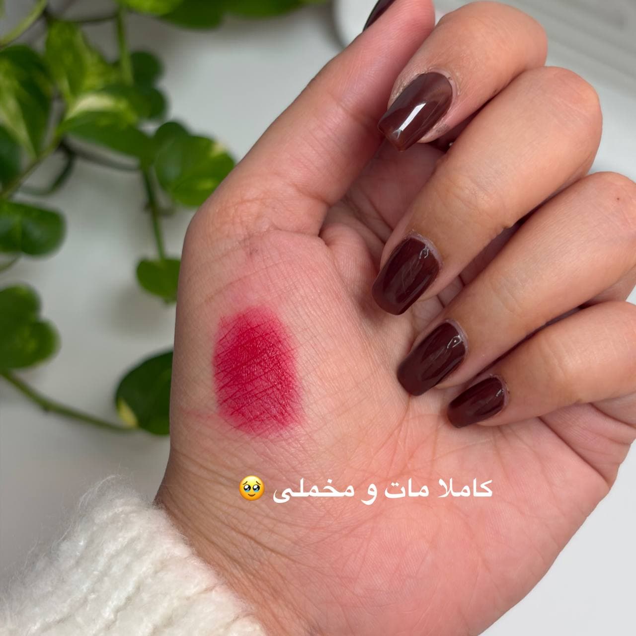 موس لب کاپ کیک — تصویر ۳