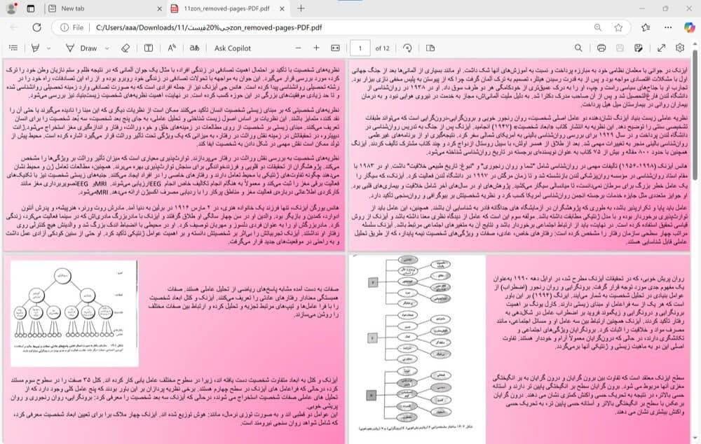 پی دی اف فصل 14: نظریه عاملی زیست بنیاد آیزنک (کتاب نظریه های شخصیت گریگوری جی.فیست) — تصویر ۲