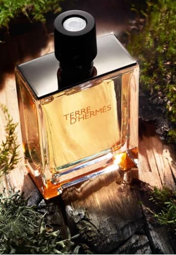 عطر تق هرمس ادوتویلت Hermes Terre d’hermes EDT — تصویر ۳