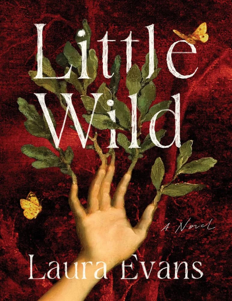 کتاب Little Wild (کوچک وحشی) اثر Laura Evans نسخه انگلیسی PDF
