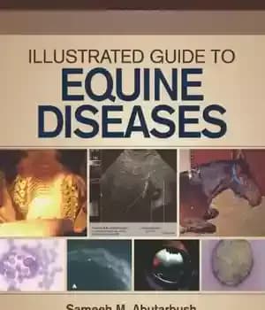 دانلود کتاب Illustrated Guide to Equine Diseases – راهنمای مصور بیماری های اسب