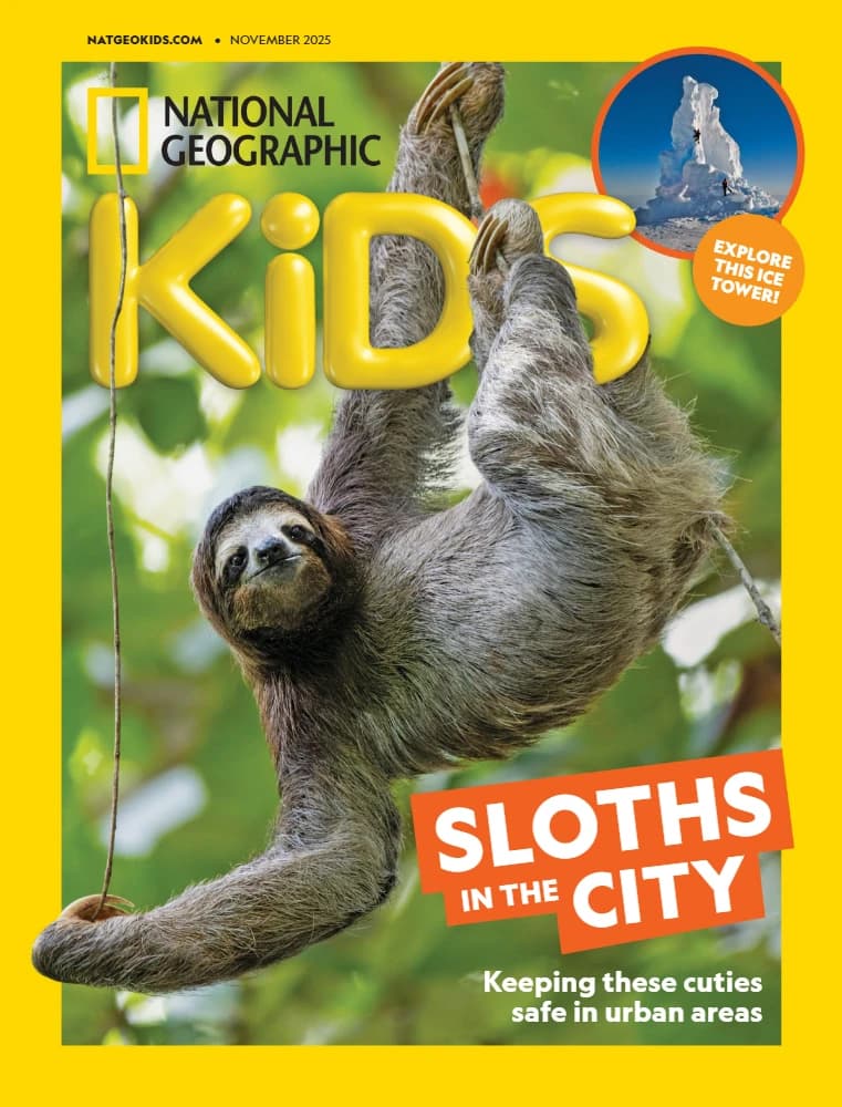 کتاب National Geographic Kids USA – November 2025 (نشنال جئوگرافیک کودکان آمریکا – نوامبر ۲۰۲۵) نسخه انگلیسی PDF |