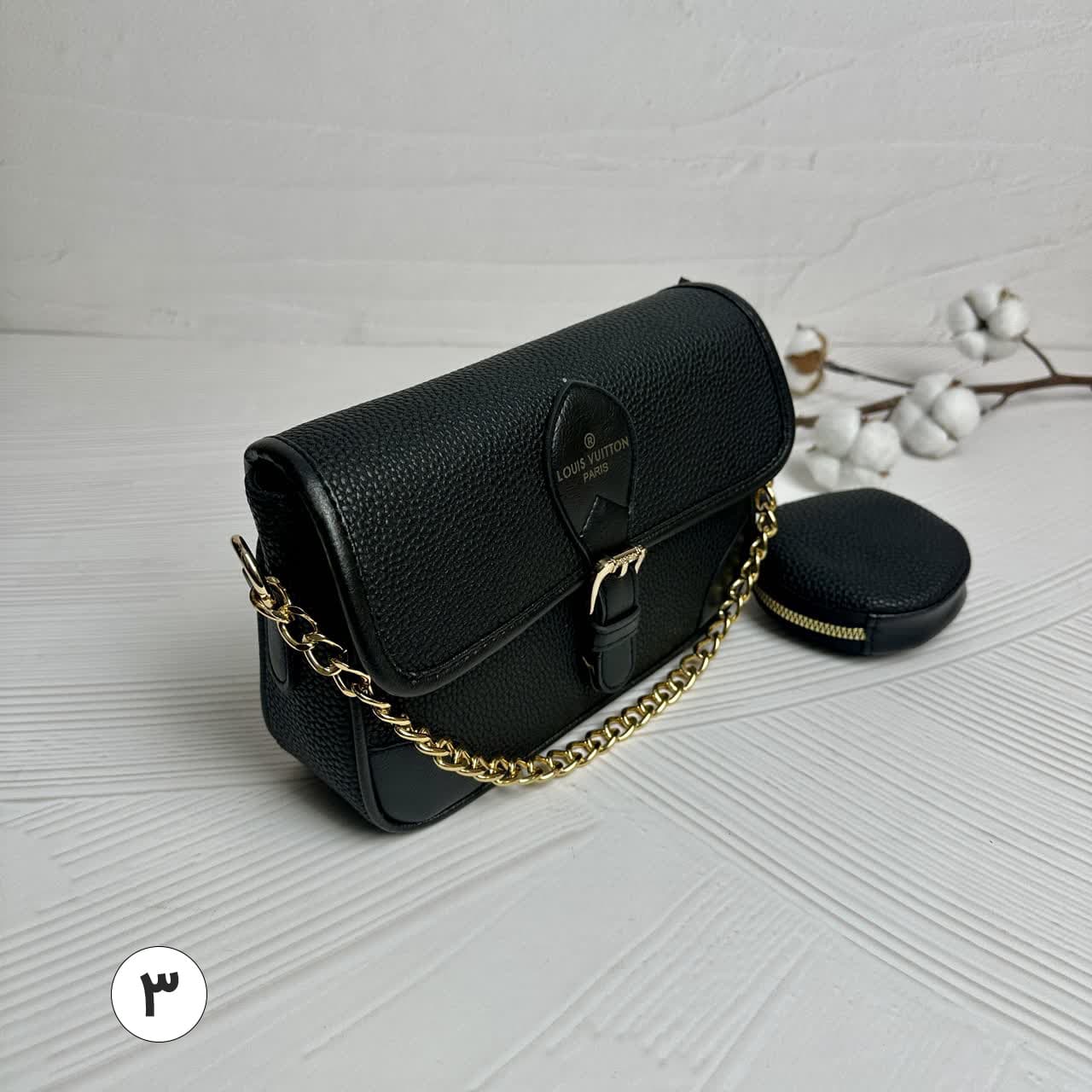 کیف زنانه Louis Vuitton Paris کد 112 — تصویر ۳