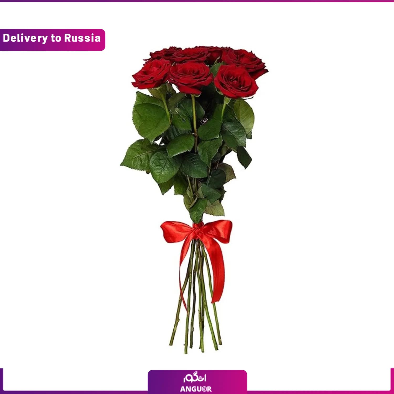 7 شاخه گل رز (ارسال گل به روسیه)