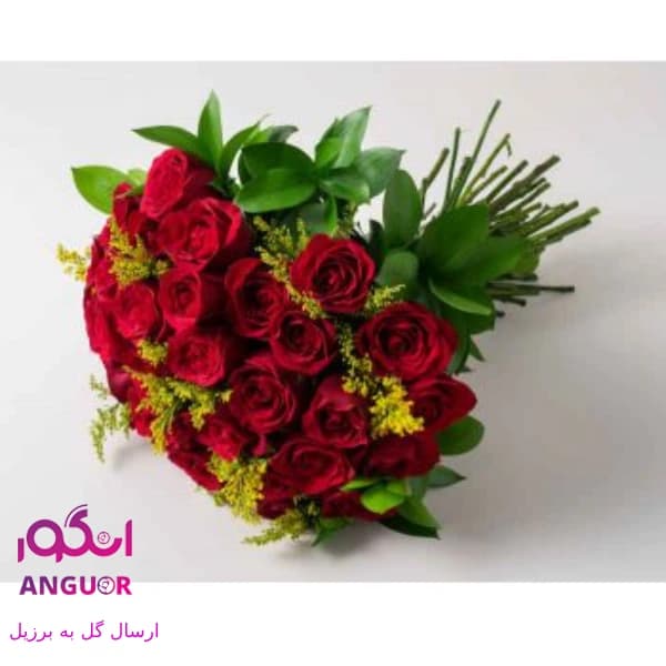 36 شاخه گل رز قرمز (ارسال گل به برزیل)