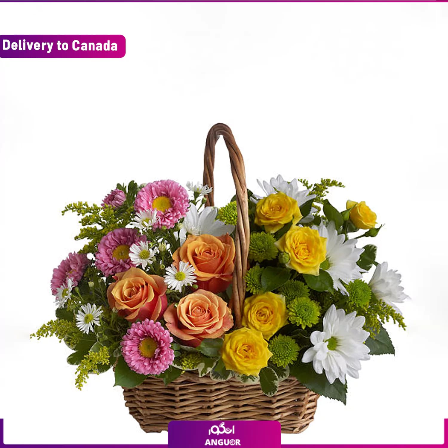 سبد گل آرامش شیرین (ارسال گل به کانادا)