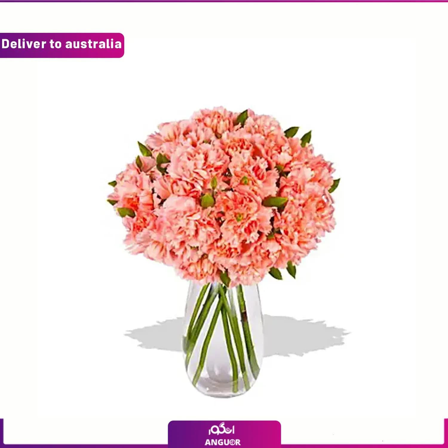 دسته گل میخک (ارسال گل به استرالیا)