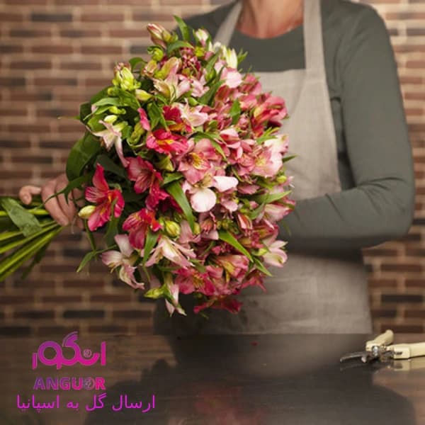 دسته گل آلسترومریا(ارسال گل به اسپانیا)