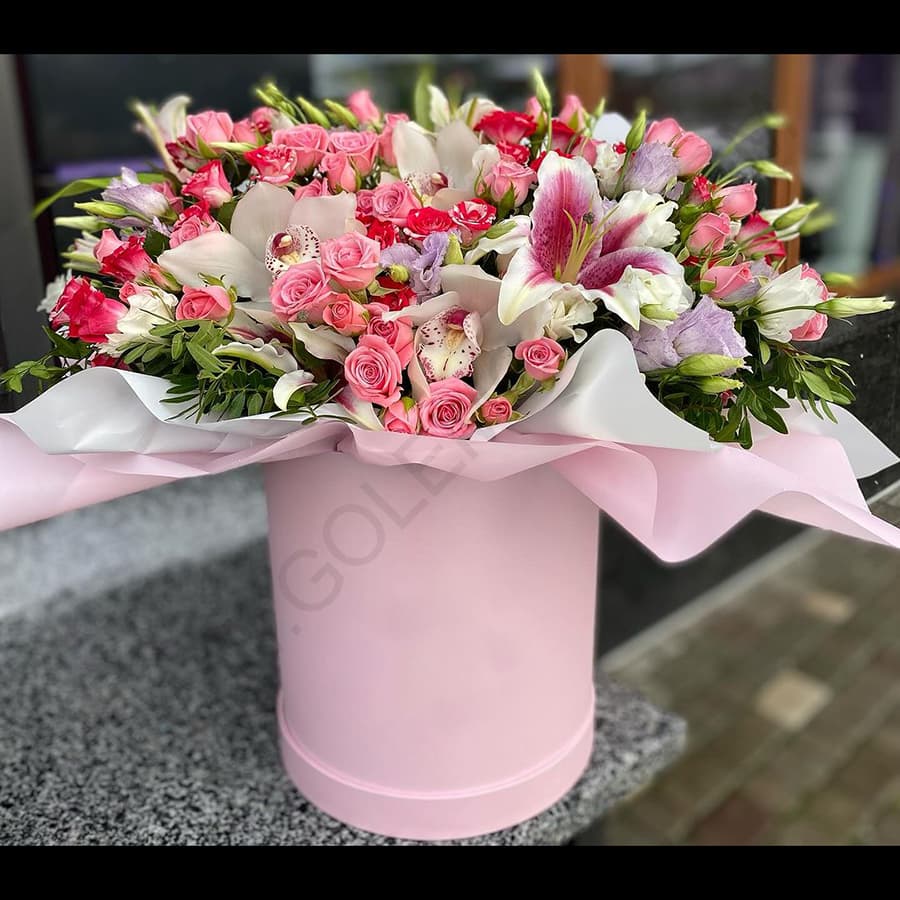 باکس گل پیتون — تصویر ۲