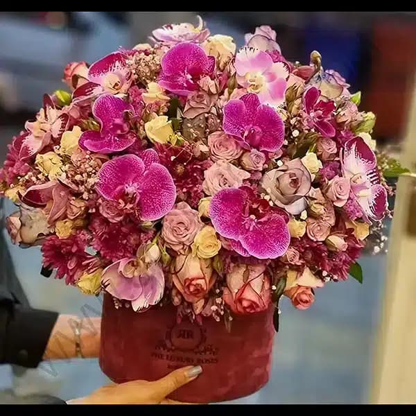 باکس گل مانلیا — تصویر ۲