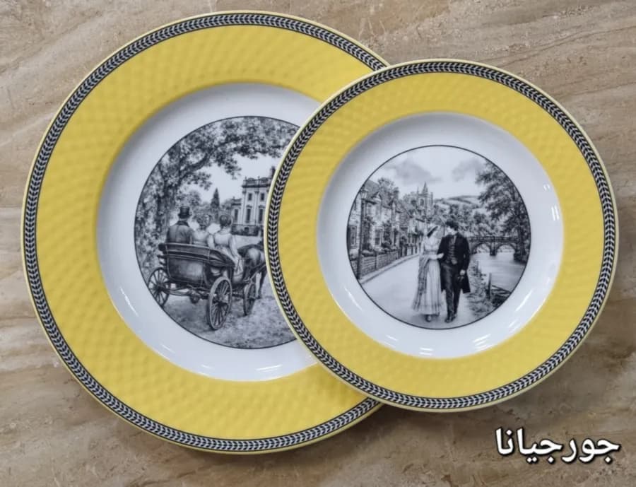 سرویس چینی زرین پیکره رادیانس مدل جورجینا 6 نفره 28 پارچه