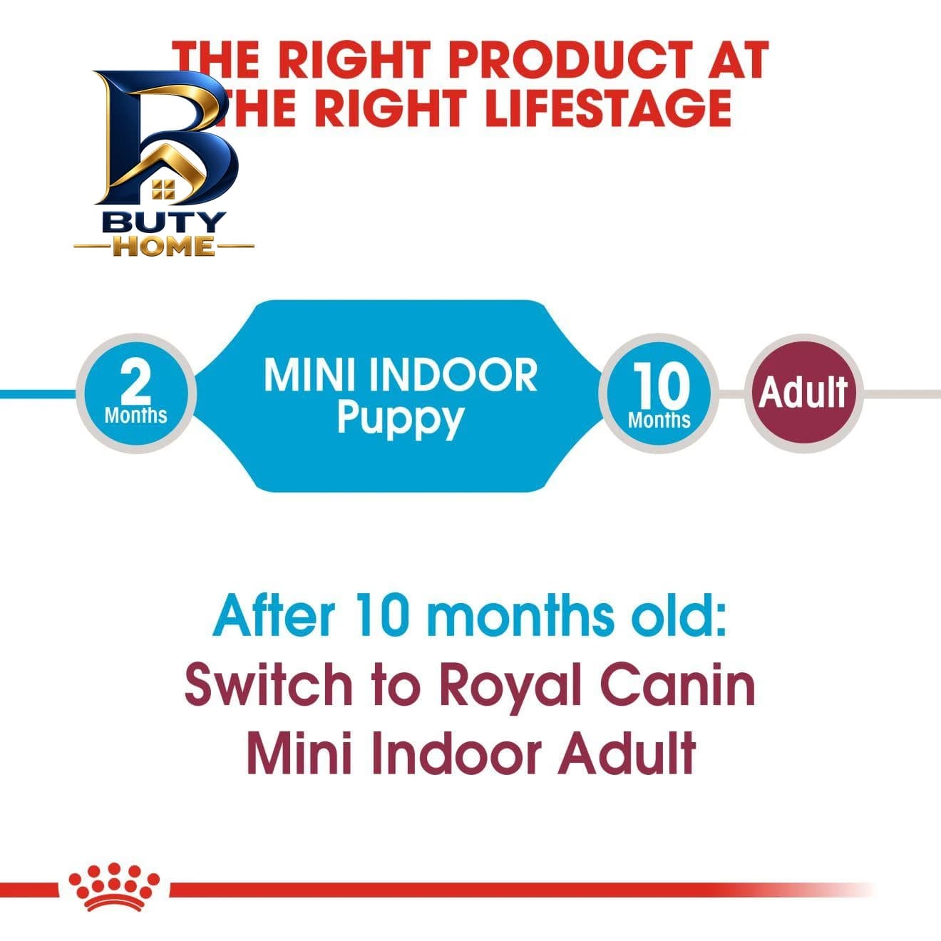 غذای خشک سگ رویال کنین مدل MINI INDOOR PUPPY وزن ۱.۵ کیلوگرم — تصویر ۴