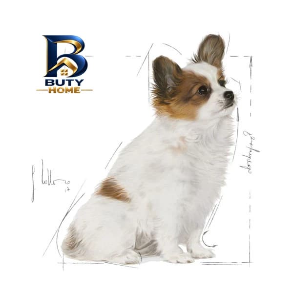 غذای خشک توله سگ نژاد کوچک رویال کنین مدل X-Small Puppy وزن 1.5 کیلوگرم — تصویر ۲