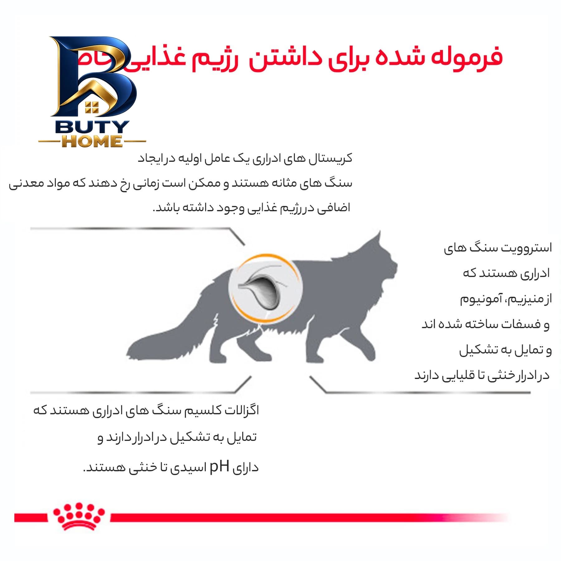غذای خشک گربه رویال کنین مدل یوریناری اس او وزن ۱.۵ کیلوگرم — تصویر ۶