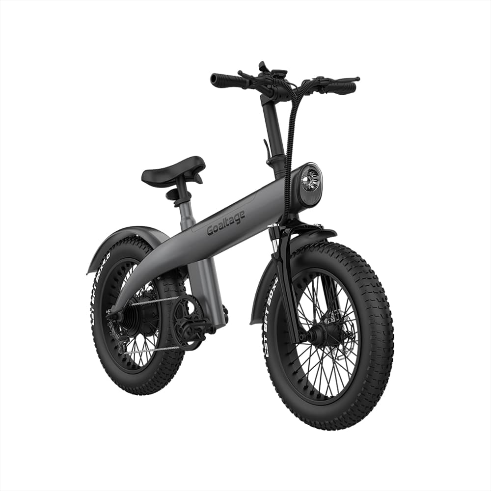 دوچرخه الکترونیکی گلتیج مدل Goaltage EBK01 EcoMotion 250W Electric Bike — تصویر ۵