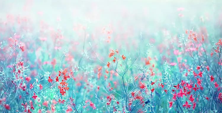 پوستر دیواری آسمان فیروزه ای — تصویر ۲