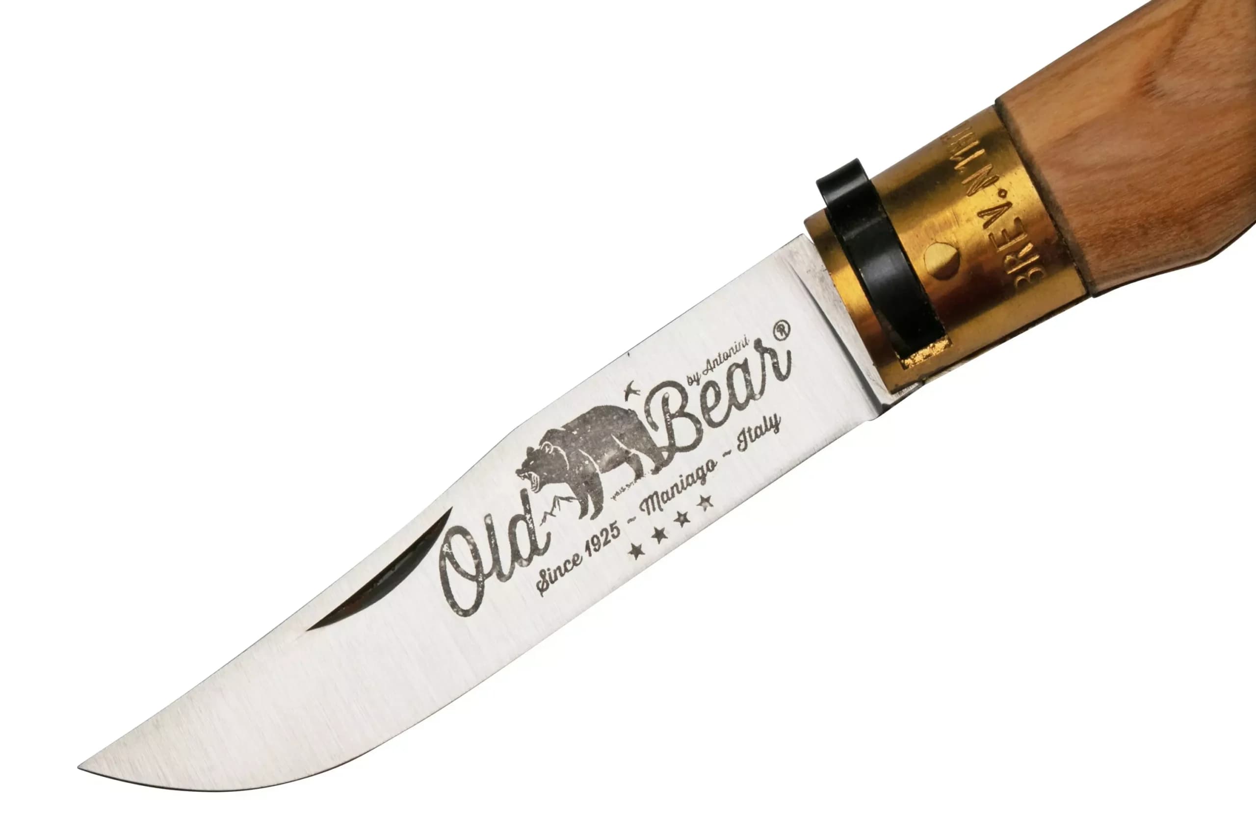 چاقو اولد بیر – دست ساز Old Bear® Classical – Olive – L – 9307/21_LU — تصویر ۲