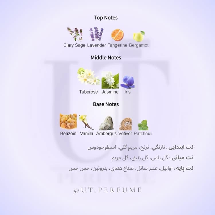عطر مارلی سدبوری زنانه | Parfums de Marly – Sedbury — تصویر ۳