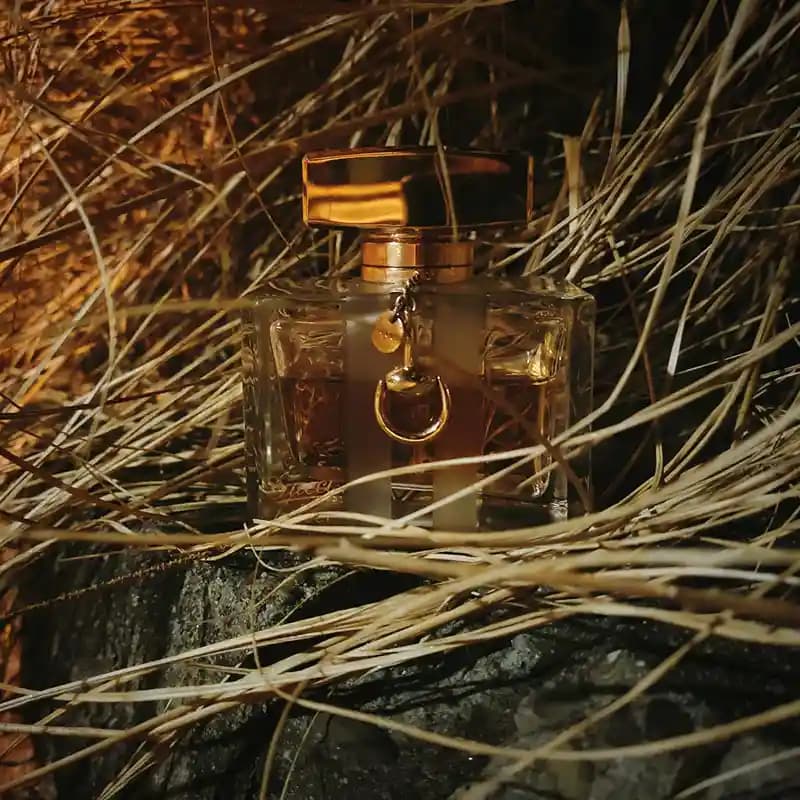 GUCCI Gucci by Gucci EDT for Women — تصویر ۲