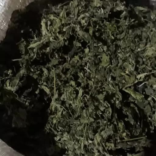 گزنه اعلا 75 گرم — تصویر ۲