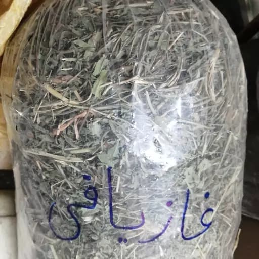غازیاقی 75 گرم