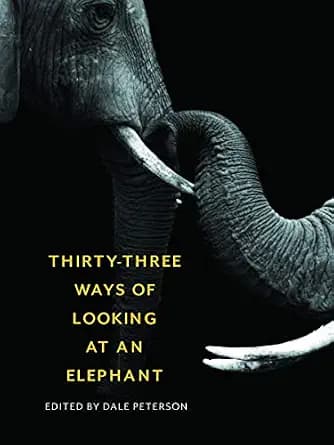 و دانلود نسخه کامل کتاب زبان اصلی Thirty-Three Ways of Looking at an Elephant PDF | دانلود کتاب خارجی