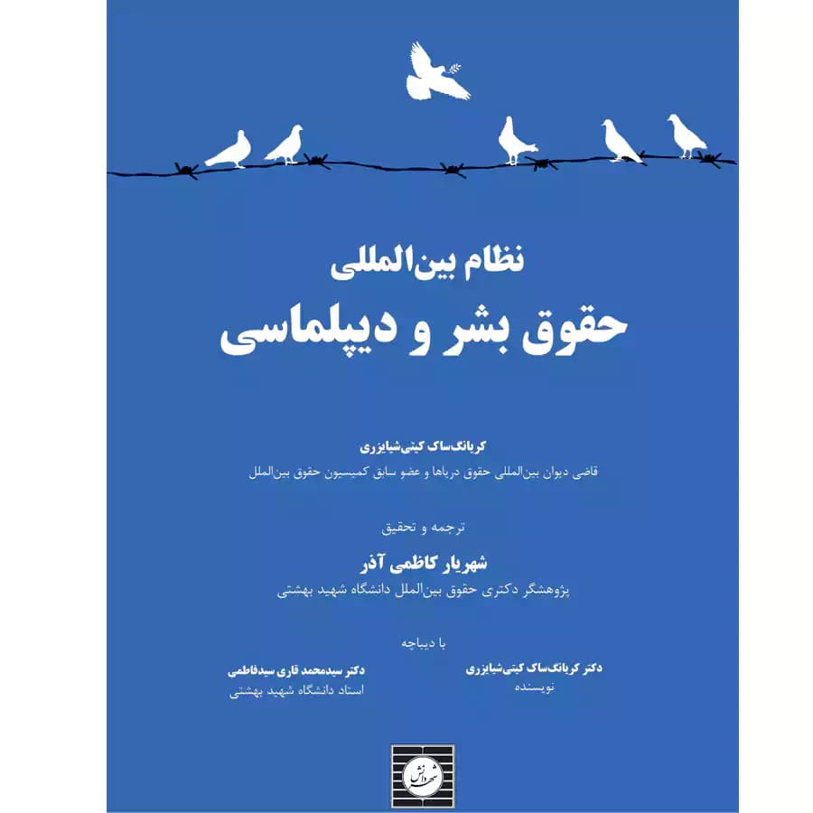 نظام بین المللی حقوق بشر و دیپلماسی