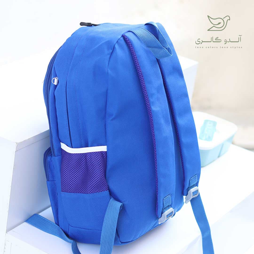 کوله پشتی داینوفور — تصویر ۸