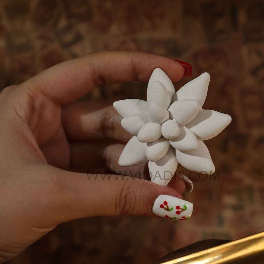 قالب سیلیکونی کاکتوس تریکوسرئوس