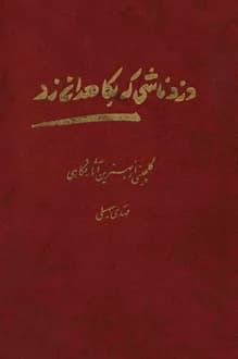 کتاب دزد ناشی که به کاهدان زد – نویسنده مهدی سهیلی