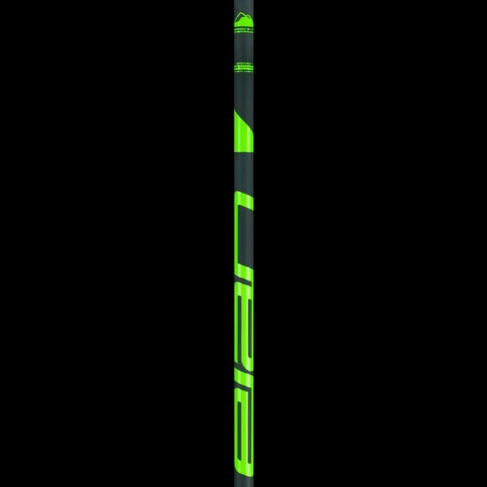 باتوم اسکی آلپاین ELAN SPEEDROD GREEN 2025 — تصویر ۲