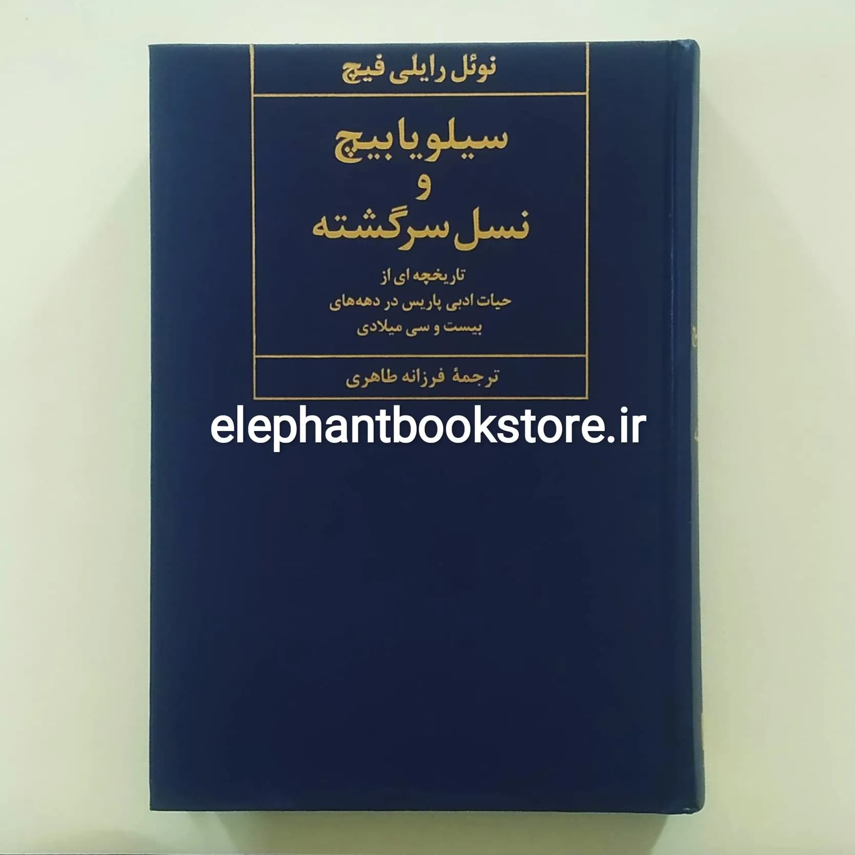 کتاب سیلویا بیچ و نسل سرگشته اثر نوئل رایلی فیچ