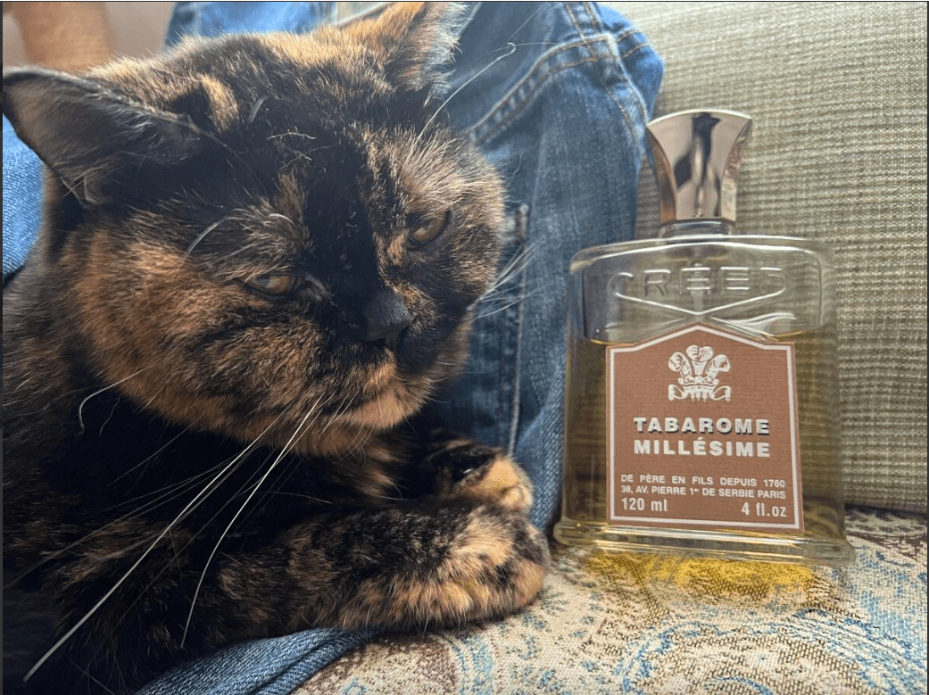 عطر ادکلن تاباروم کرید Creed Tabarome — تصویر ۲