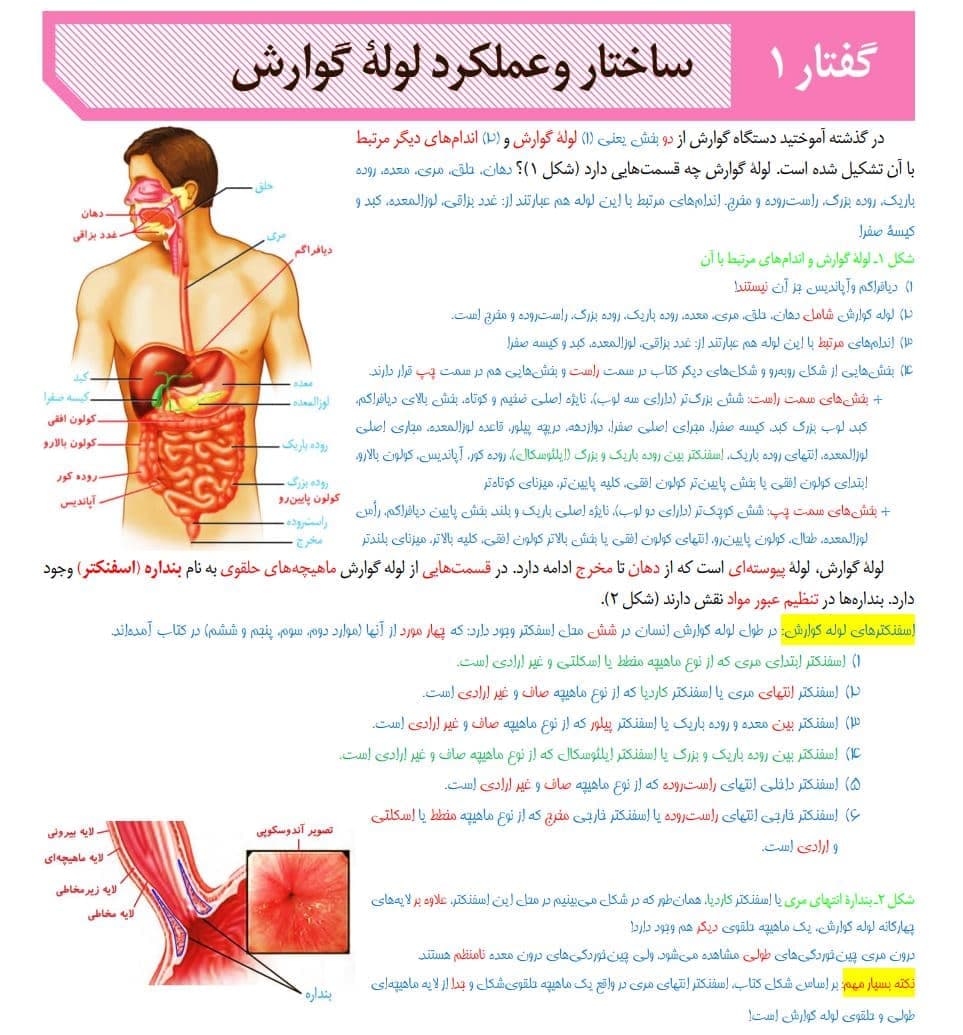 دانلود جزوه جامع زیست شناسی دهم تجربی — تصویر ۳