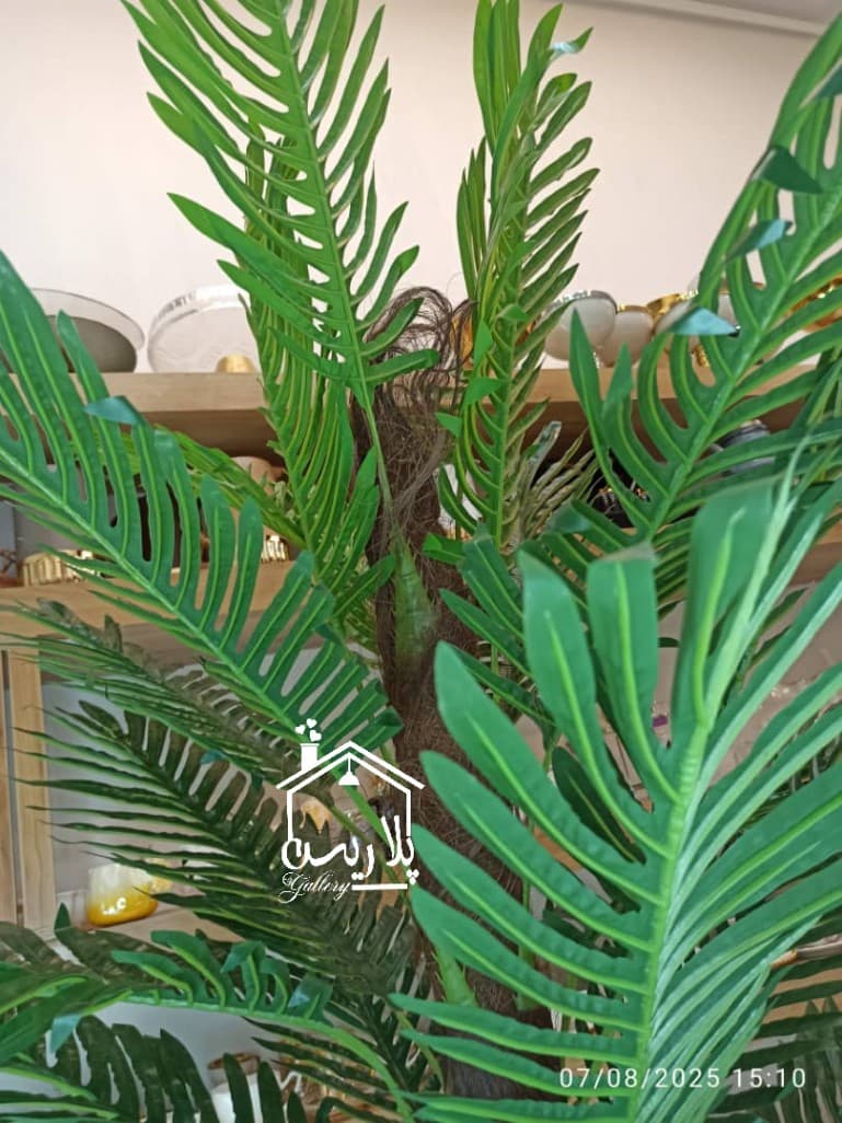 درختچه مصنوعی سیکاس ۱۶۲۳۳ — تصویر ۳