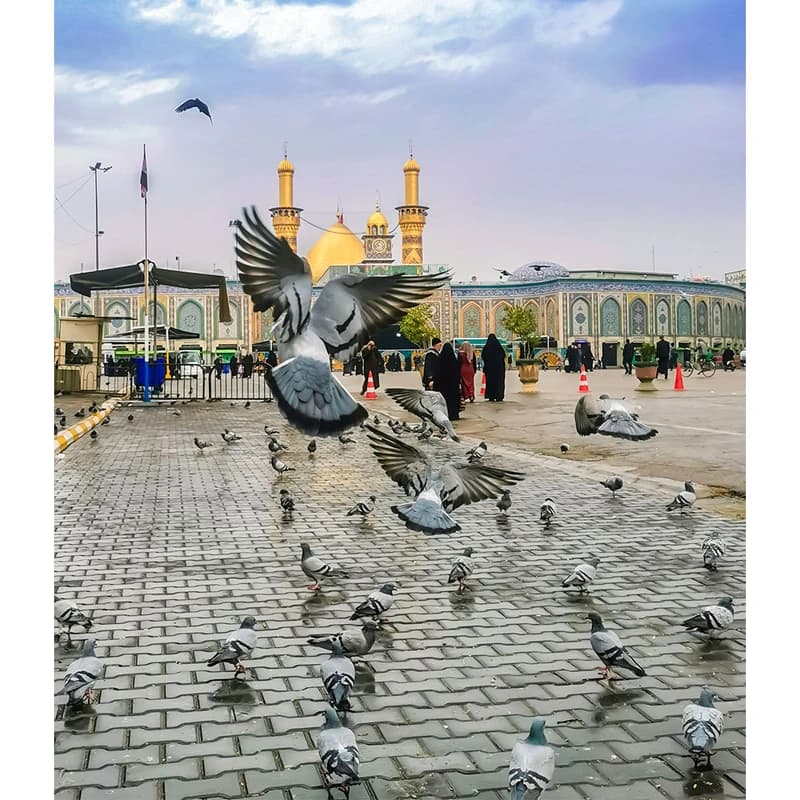تابلو شاسی مدل کربلا حرم حضرت ابالفضل العباس (ع) کد 08