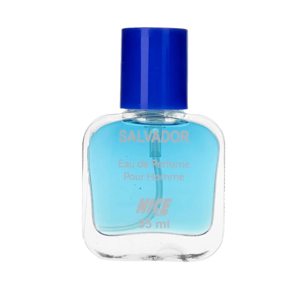 عطر جیبی مردانه نایس رایحه Salvador حجم 35 میل — تصویر ۲