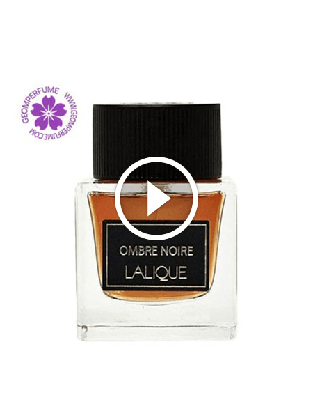 عطر ادکلن لالیک امبر نویر | Lalique Ombre Noire — تصویر ۳