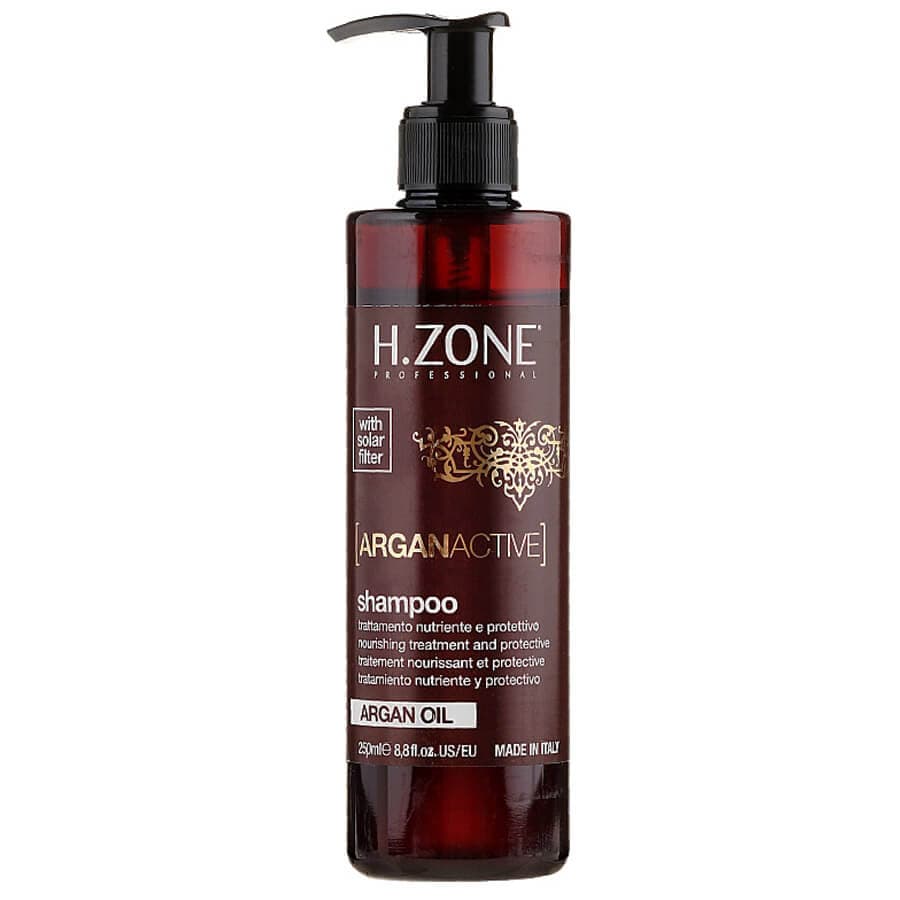 شامپو مغذی اچ زون مدل Argan Active حجم 250 میل