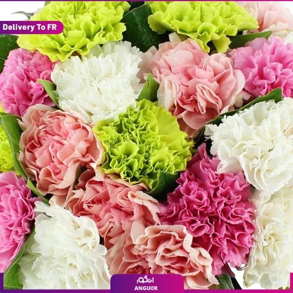 دسته گل میخک رنگین کمان (تحویل در فرانسه) — تصویر ۳