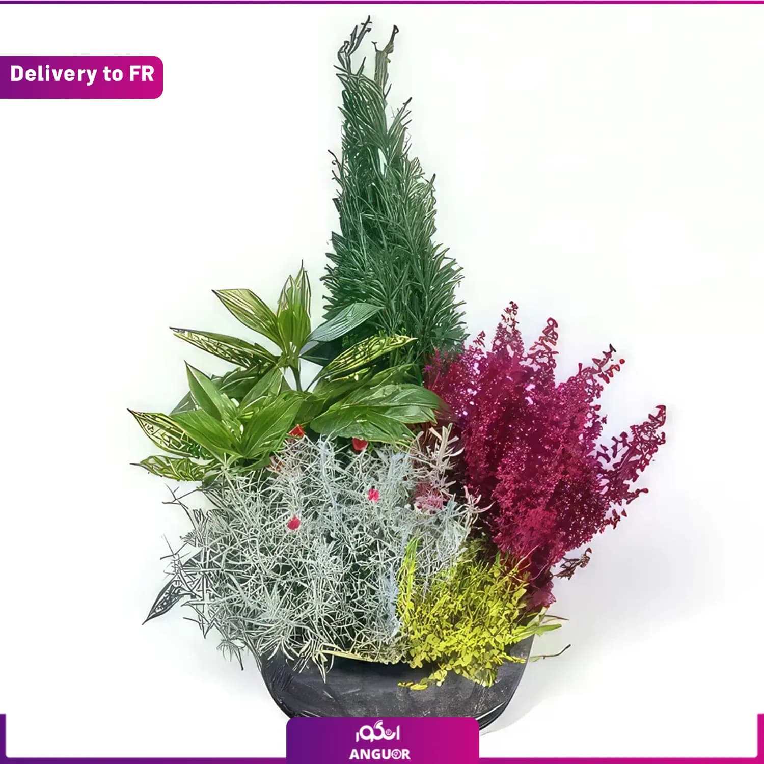 Green Leaves (Delivery to France)