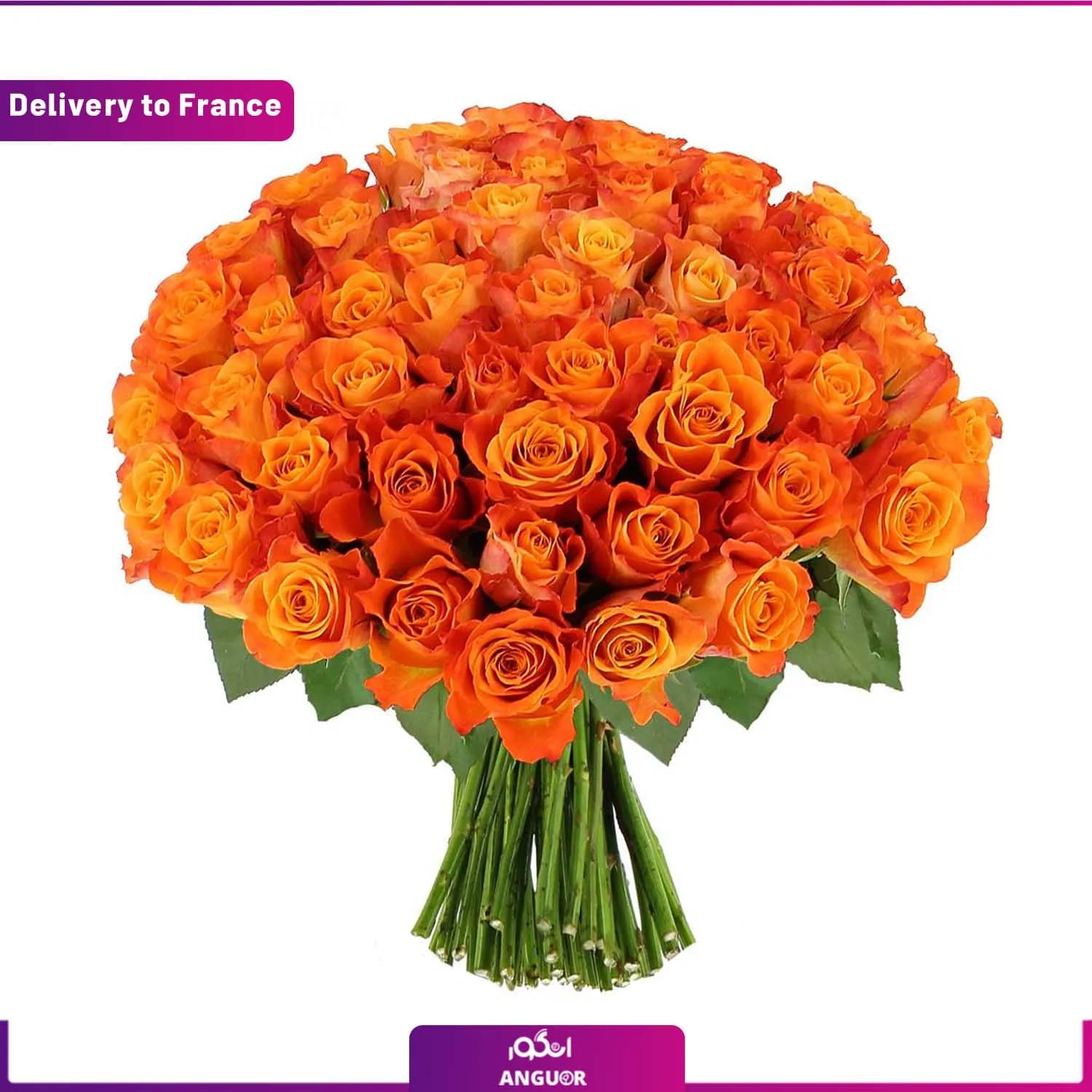 دسته گل رز نارنجی (ارسال گل به فرانسه)
