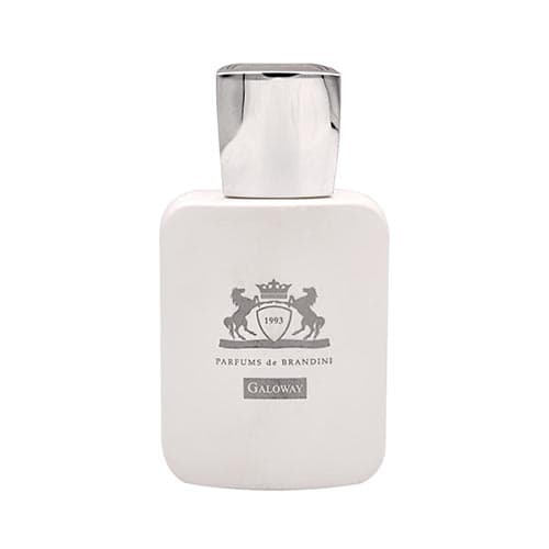 عطر ادکلن یونیسکس گالووی برندینی Brandini حجم 33 میلی لیتر — تصویر ۳