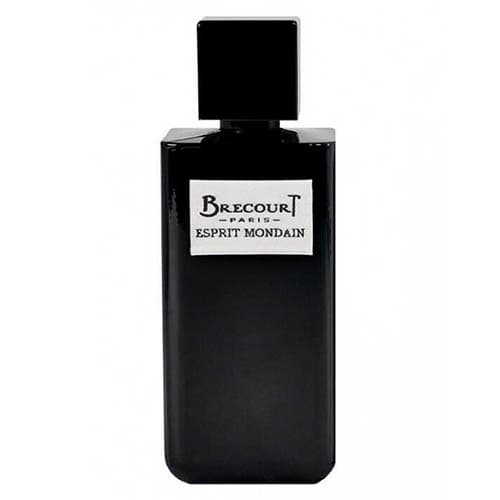 ادکلن بریکورت مدل Esprit Mondain حجم 100mL