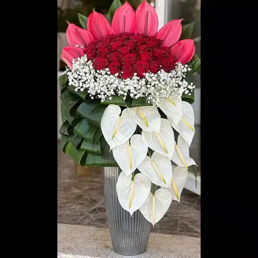 جام گل رومینا — تصویر ۲