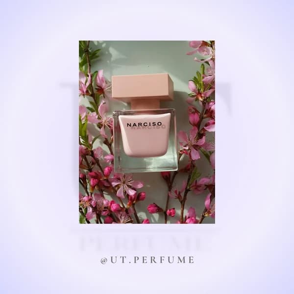 عطر نارسیسو رودریگز پودری زنانه | Narciso Rodriguez – Poudree — تصویر ۶