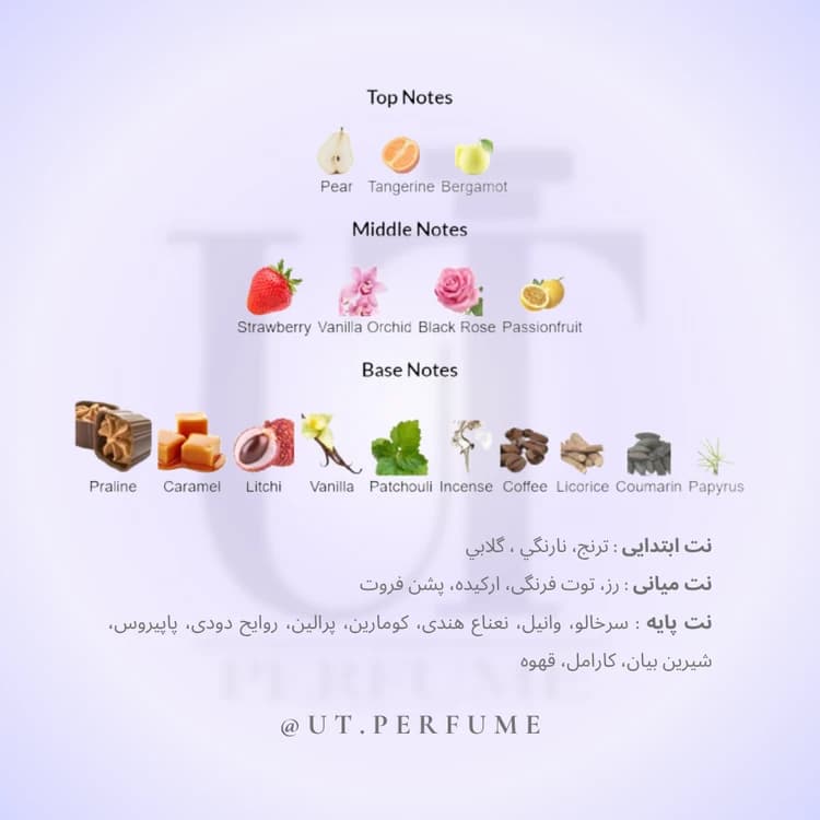 عطر لانکوم لانویت ترزور زنانه | Lancome – La Nuit Tresor — تصویر ۳