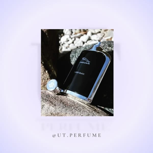 عطر جگوار کلاسیک بلک مردانه | Jaguar – Classic Black — تصویر ۵